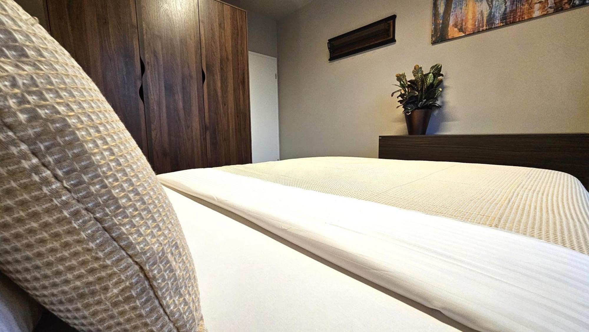 Downtown Dream Apartment Cluj-Napoca Eksteriør billede